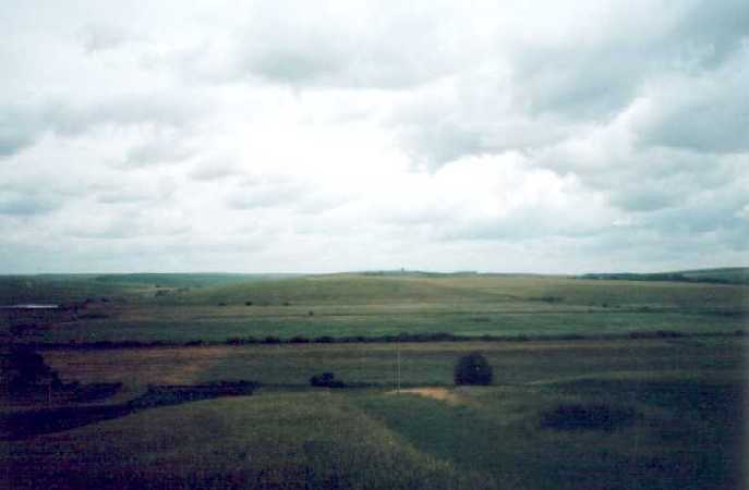 Psarskie pola